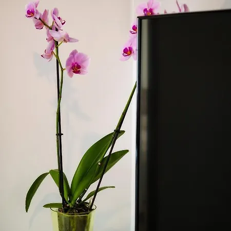 Dez Adela Appartement